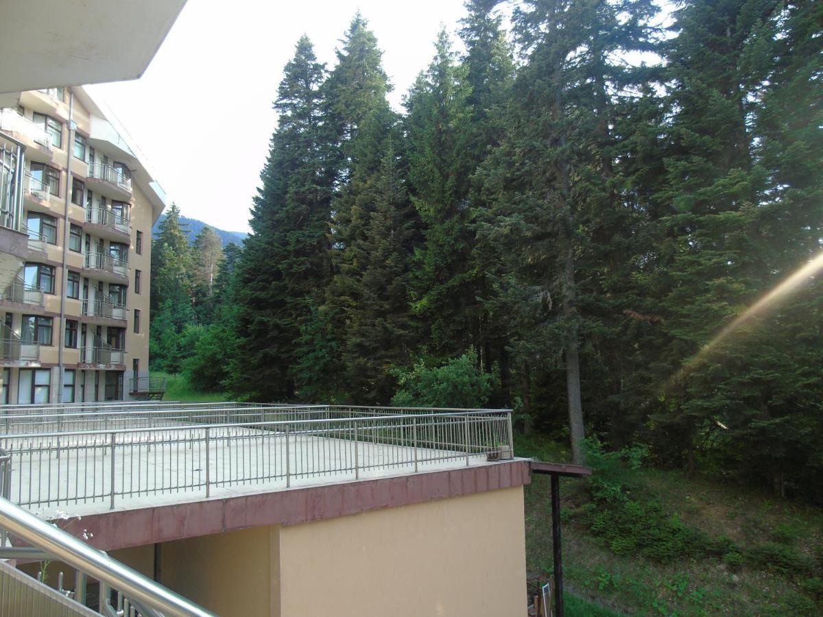 Хотел Флора Private Studio All Seasons Apartment Boroveț Exterior foto