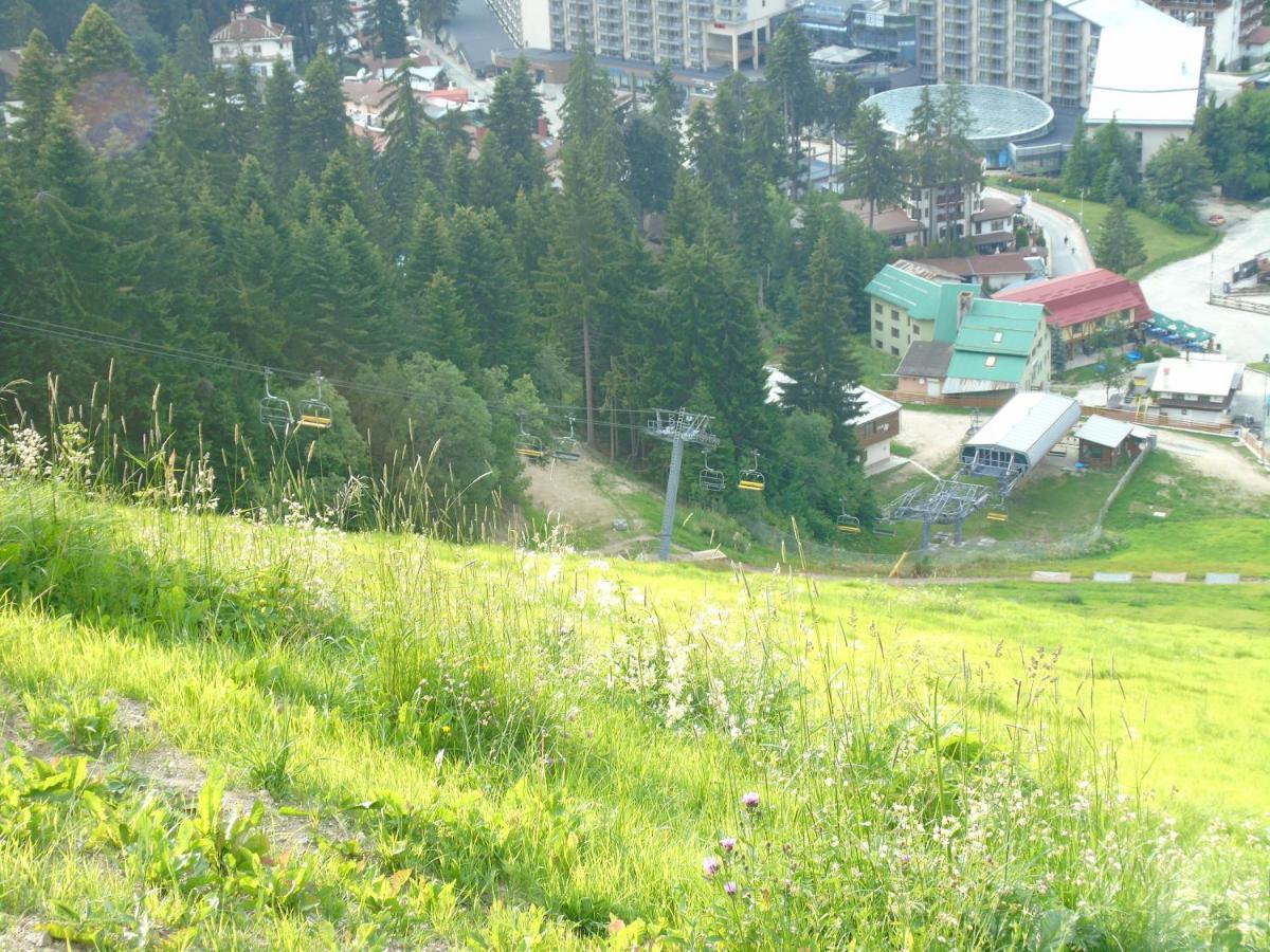 Хотел Флора Private Studio All Seasons Apartment Boroveț Exterior foto